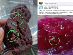 Lagi-lagi Menu MBG Kaliwungu Purworejo Disoal, Brownies Berjamur dan Puding Diduga Berbelatung