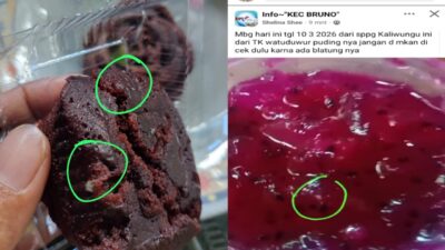 Lagi-lagi Menu MBG Kaliwungu Purworejo Disoal, Brownies Berjamur dan Puding Diduga Berbelatung