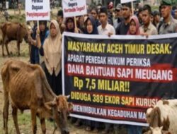 Jangan Tutup Mata! Publik Mendesak APH Segera Periksa Dana Bantuan Sapi Dari Presiden Sebesar Rp7,55 miliar