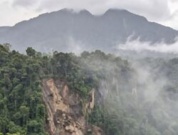 Longsor Gunung Rajabasa, LSM PRO RAKYAT “Alarm Keras”, Pemerintah Harus Tegas Sebelum Timbul Korban