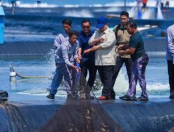 Prabowo Turun ke Tambak, Ikut Tarik Jala Saat Panen Raya Udang di Kebumen