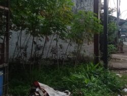 Apakah sudah berizin, My Republic banyak memasang tiang internet sampai ke pelosok