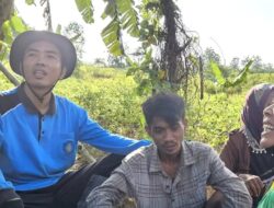 4 Hari Hilang di Hutan Binangun Cilacap, Sugi Triyono Ditemukan Selamat di Gubug