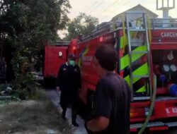 Kebakaran Kandang di Pati, 6 Kambing Mati Terpanggang