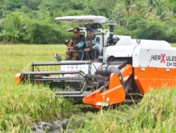 KECAMATAN CIEMAS SALAH SATU PENOPANG SWASEMBADA PANGAN DI SUKABUMI