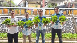 Panen Hasil Pembinaan, Wujudkan Ketahanan Pangan dari Dalam Lapas