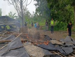 Arena Judi Sabung Ayam di Comal Pemalang Dibongkar, Kurungan dan Tenda Dibakar di Tempat