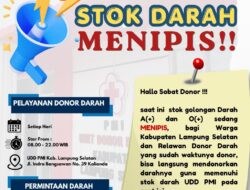 PERINGATAN DARURAT! Stok Darah UDD PMI Lamsel Menipis, Ayo Donor!! Berkontribusi Menyelamatkan Nyawa