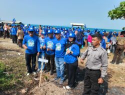 HUT ke-25, DPC Partai Demokrat Lampung Selatan Bersihkan Pantai dan Tanam Pohon mangrove