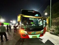 Bus Dari Palembang Bawa 991 Burung Liar, Terhenti Saat Diperiksa di Bakauheni