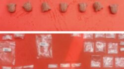 Empat Pelaku Dibekuk, Polisi Temukan 47 Sabu, 15 butir inex Siap Edar 