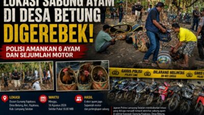 Judi Sabung Ayam di Desa Betung Digerebek, Polisi Amankan 6 Ayam Dan Sejumlah Motor