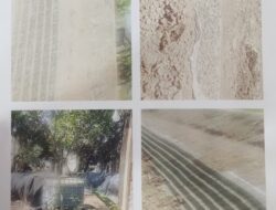 Proyek Tanggul Way Katibung-Way Sulan Dilaporkan LSM ISC-MAJAS ke Kejati Lampung Hingga Surati BBWS 
