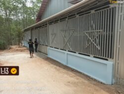 Dugaan Sabung Ayam di Batang Ditelusuri, Polda Jateng: Jika Terbukti, Kami Tindak!
