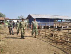 Perkuat Ketahanan Pangan, Danrem 071/Wijayakusuma Tinjau Kompi Produksi Kodim 0713/Brebes