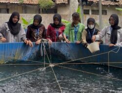 LAPAS KALIANDA KEMBANGKAN BUDIDAYA PERIKANAN: BEKAL KETERAMPILAN DAN KEMANDIRIAN BAGI WARGA BINAAN