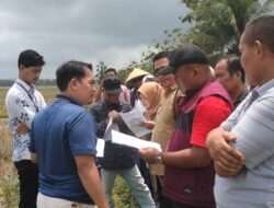 ​Pemeriksaan Setempat Tiga Bidang Sawah di Klapagading Kulon Alot, Majelis Hakim Jadwalkan Lanjutan Sidang