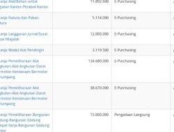 Jadi Pertanyaan Masyarakat, Dinas Peternakan‑Keswan Dalam Pengadaan Pemeliharaan Kendaraan Rp134 Juta